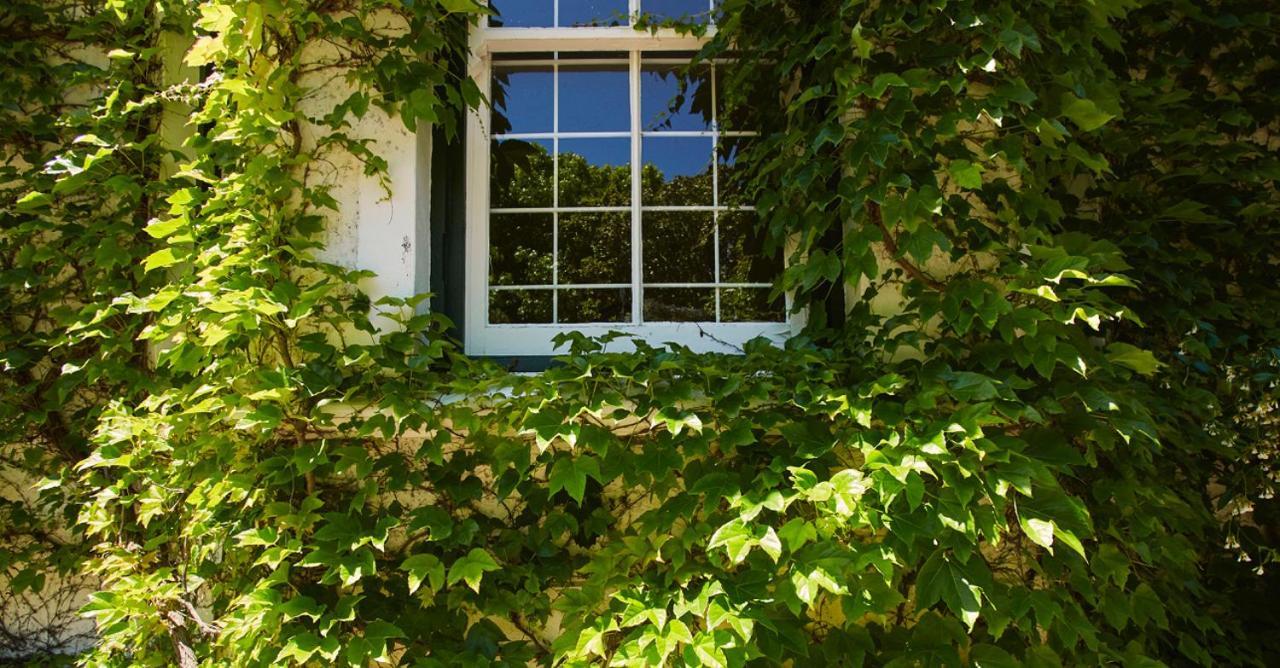 Puccini Bed & Breakfast